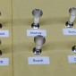 Cups upright for their final time